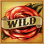 Wild Wild